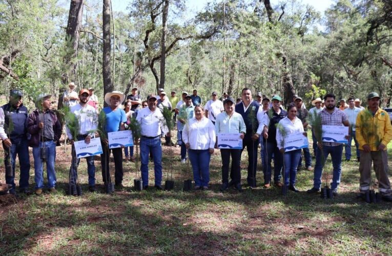 La alcaldesa de Landa, Marina Ponce, recibe 12 mil plantas de manos del Secretario de Desarrollo Agropecuario, Rosendo Anaya.