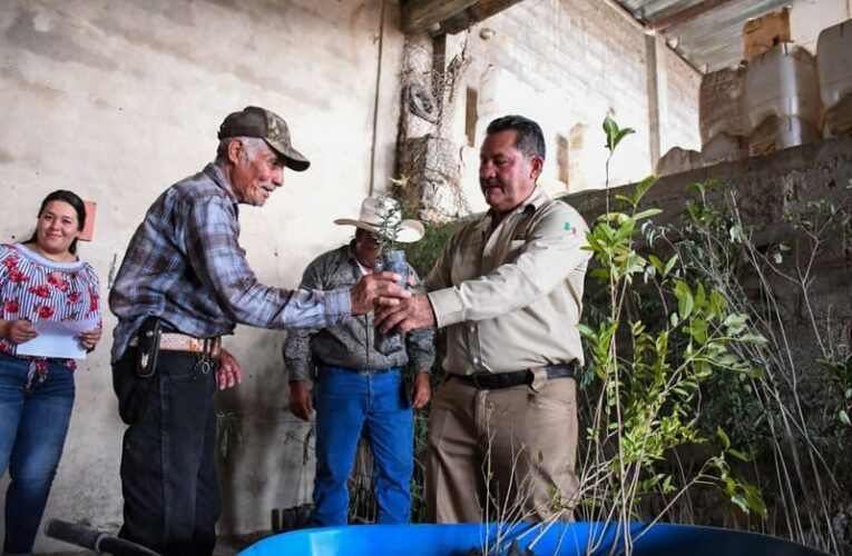 Cultivando Futuros Verdes: Entrega de Árboles a Socios Ganaderos en Jalpan de Serra