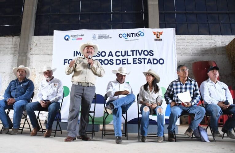 Impulsando la Agricultura: Entrega de Semillas Forrajeras en Jalpan de Serra